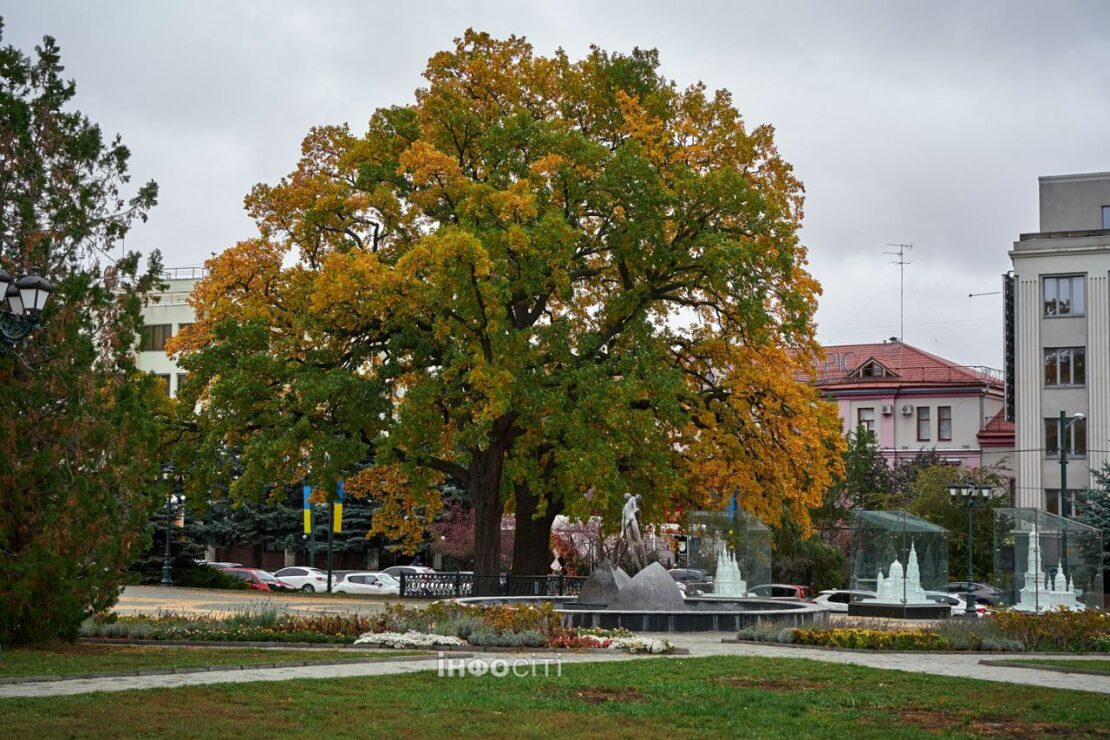 Легка меланхолія осіннього Харкова. Фоторепортаж