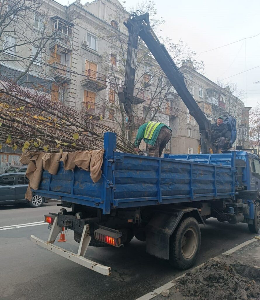 У центрі Харкова висадили нові липи (фото)