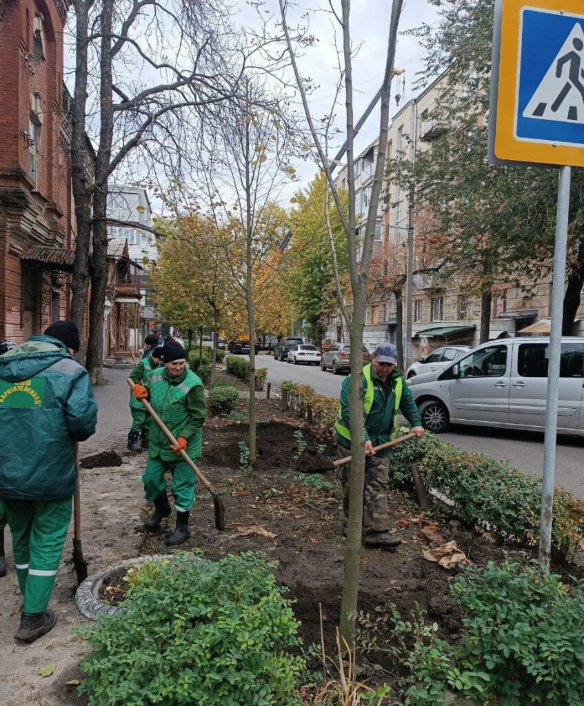 У центрі Харкова висадили нові липи (фото)