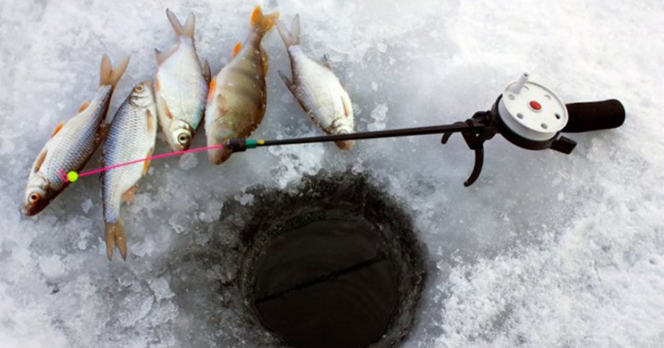 З 1 листопада в Україні забороняється вилов риби у зимувальних ямах