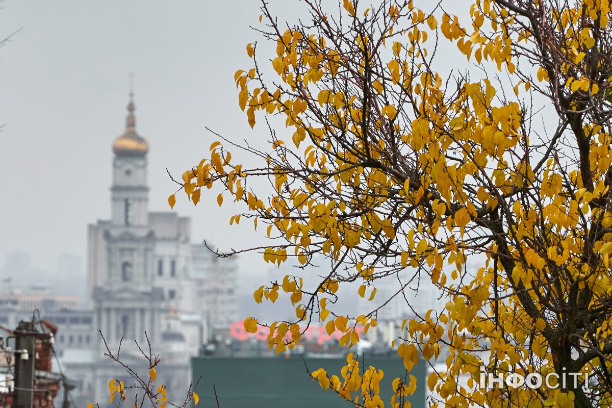 Похмурий осінній день у Харкові - фоторепортаж