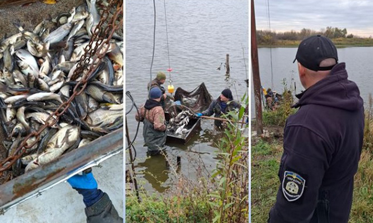 На Харківщині зарибили Старовірівське водосховище