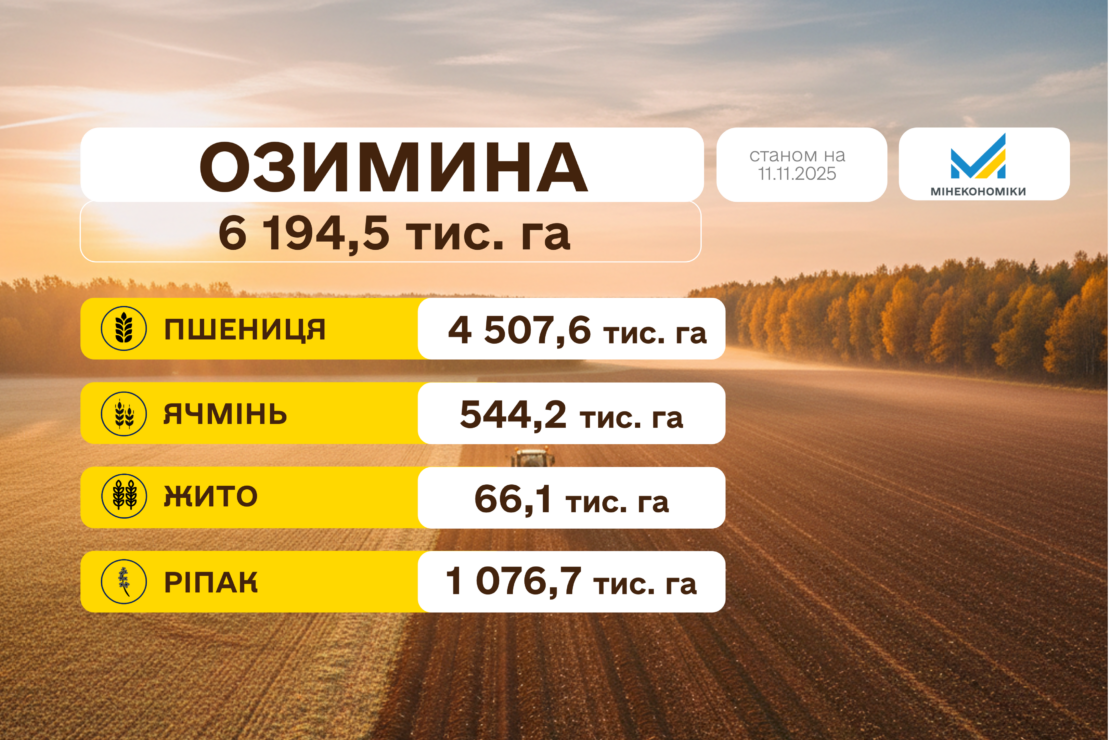 Українські аграрії засіяли близько 6,2 млн га озимих культур