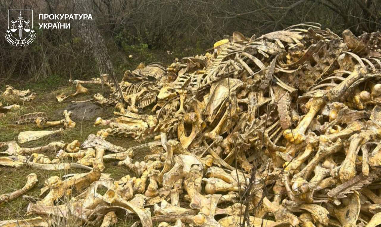 На Харківщині виявили незаконне звалище тваринних кісток