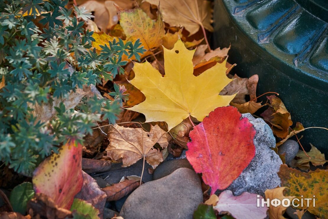 Кінець тижня здивує жителів Харківської області теплою погодою