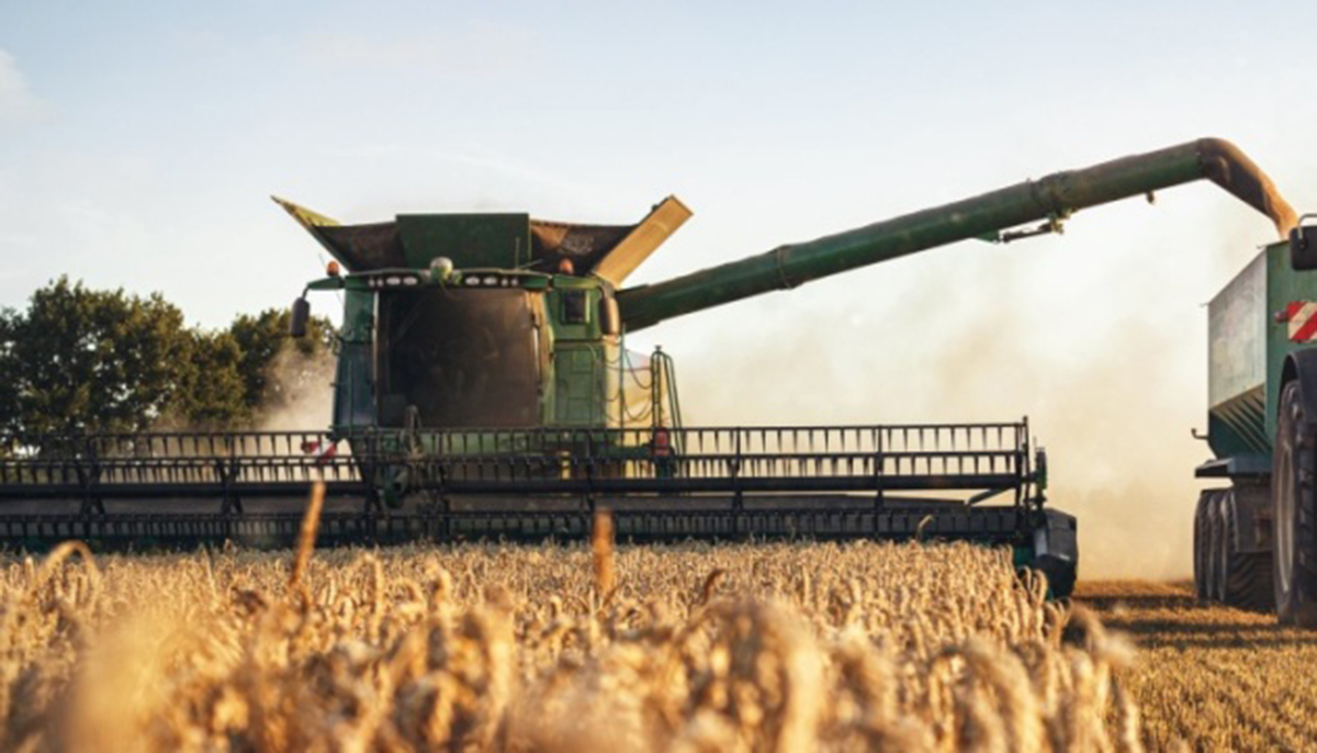 Українські аграрії зібрали понад 43,6 млн тонн зерна