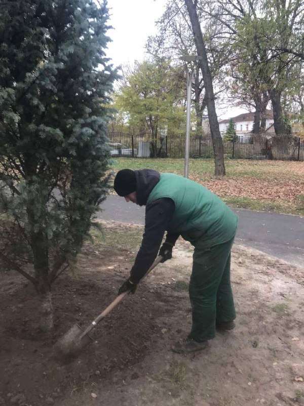 З парків Харкова вивезли 300 кубометрів опалого листя (фото)