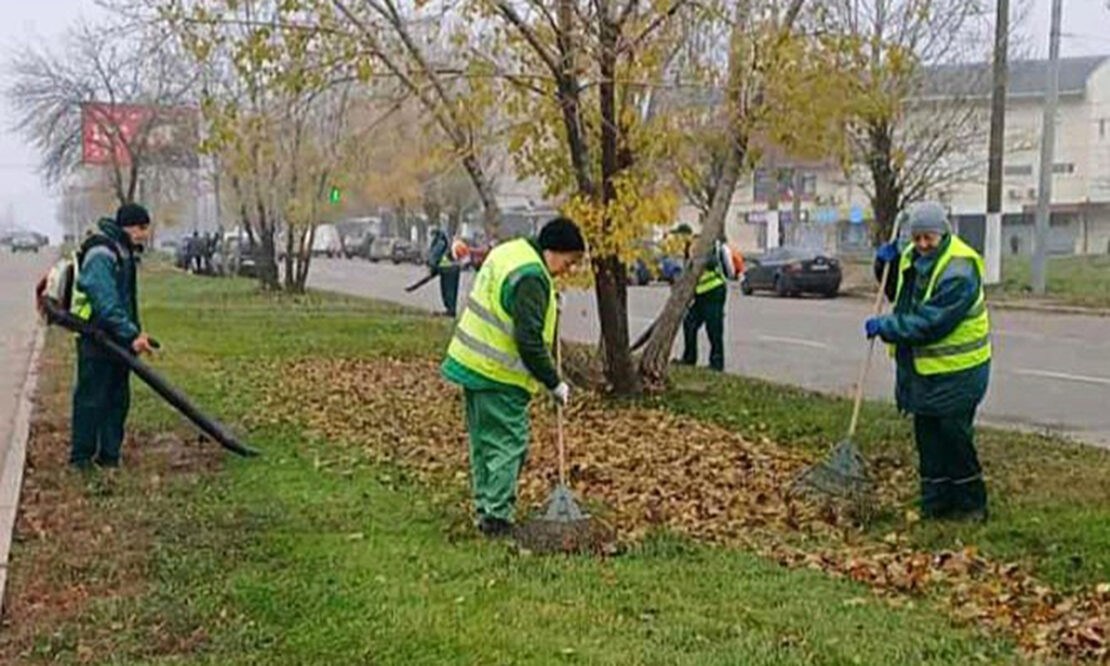 З Харкова вивезли понад 950 кубометрів опалого листя 