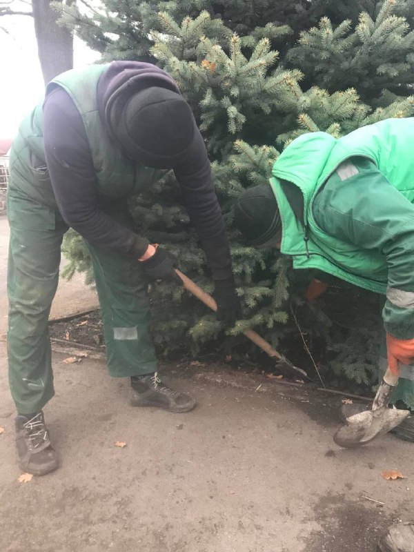 З парків Харкова вивезли 300 кубометрів опалого листя (фото)