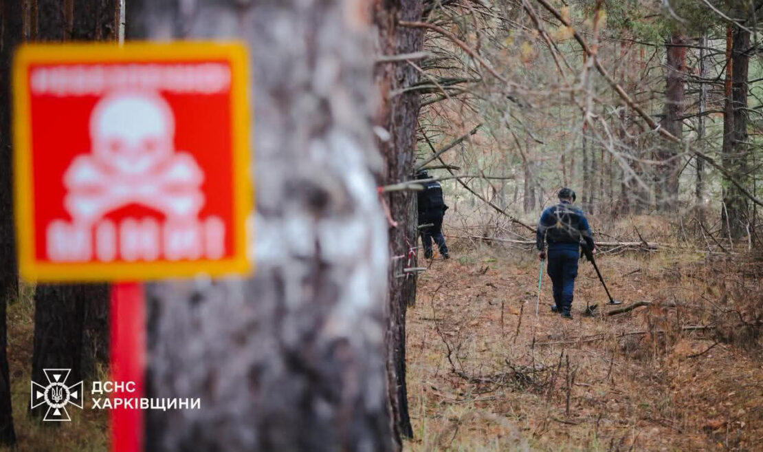 Жителів Харківщини закликають не відвідувати ліси через мінну небезпеку
