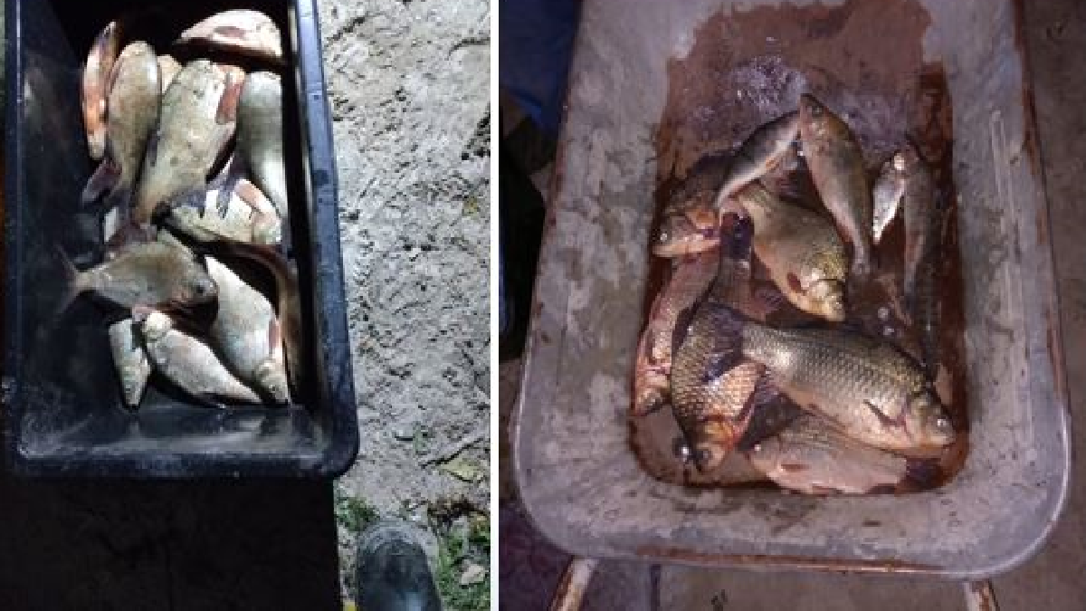 На Печенiзькому водосховищі затримали двох браконьєрів