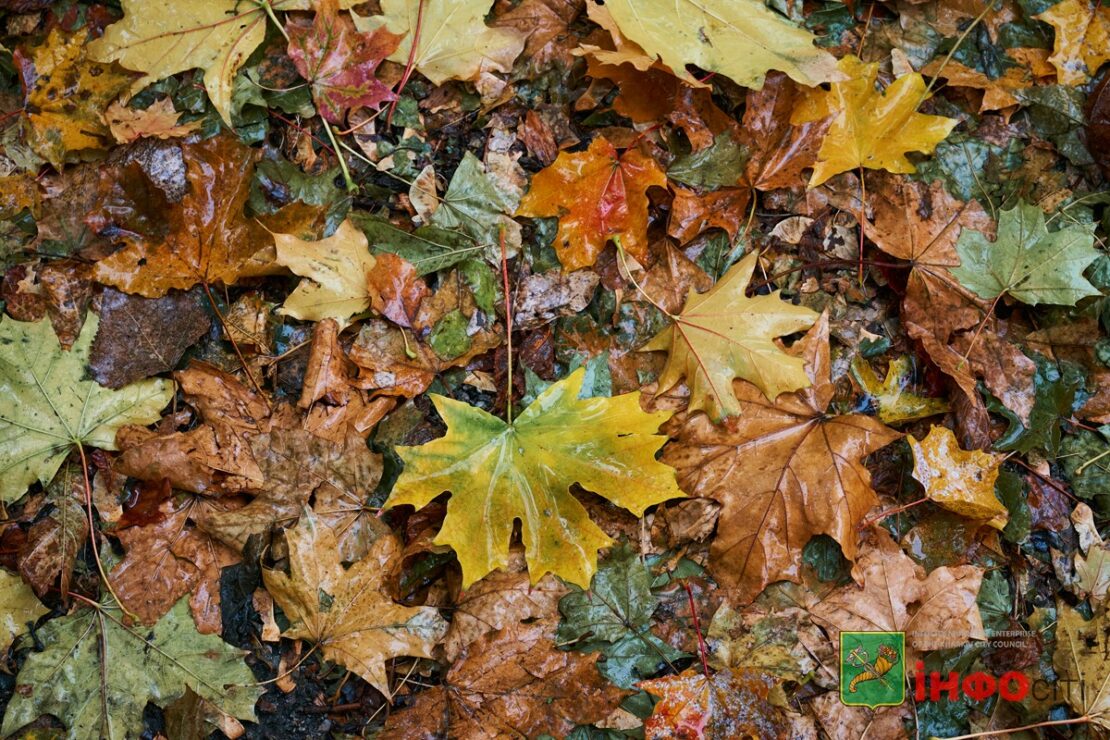 Прогноз погоди у Харкові на 13 листопада 2025 року