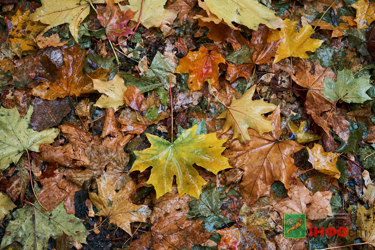 Прогноз погоди у Харкові на 13 листопада 2025 року