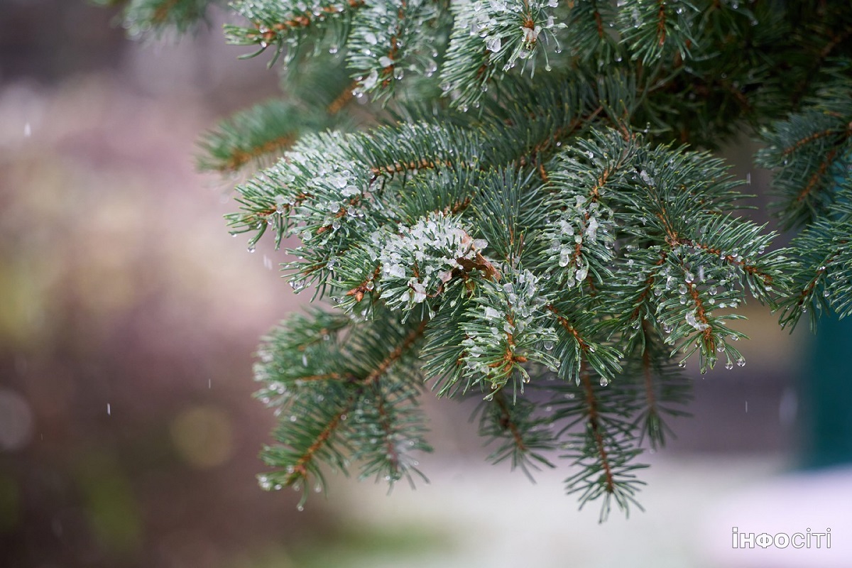 Прогноз погоди для Харкова та області на 1 грудня 2025