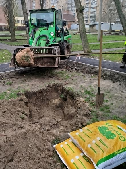 У Новобаварському районі Харкова висадили клени (фото)