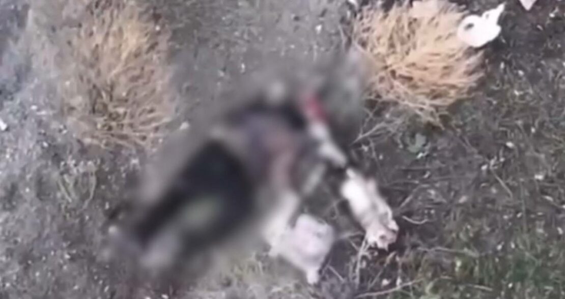 Окупанти підірвали дронами двох цивільних на Харківщині