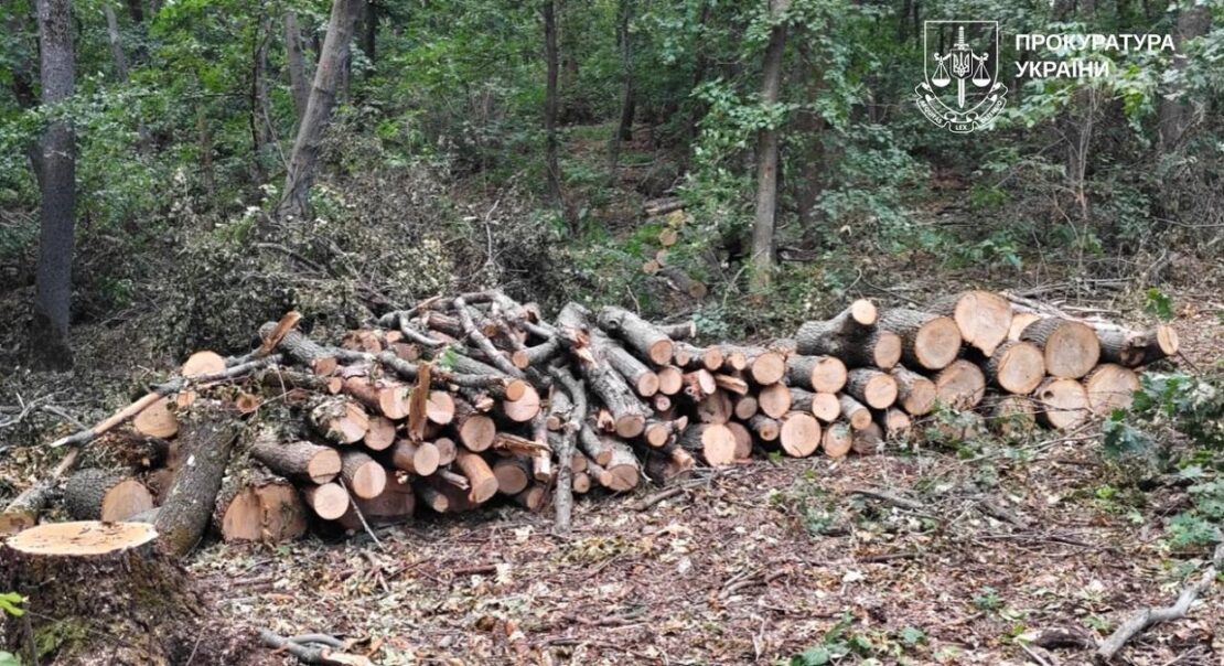 На Харківщині викрили «чорних лісорубів»