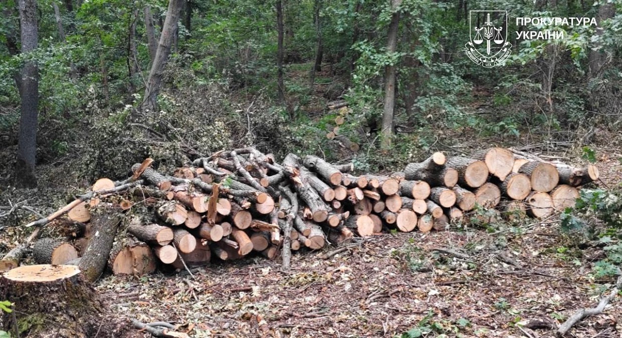 На Харківщині викрили «чорних лісорубів»