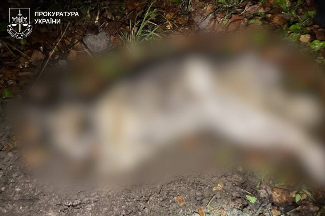 На Харківщині чоловік застрелив собаку, яка забігла на його город