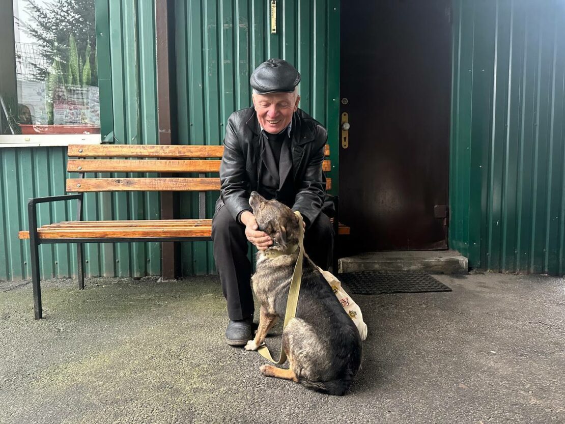 У листопаді харківський притулок прийняв 188 тварин (фото)