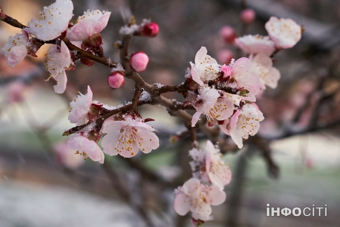 Погода у Харкові на сьогодні, 24 грудня