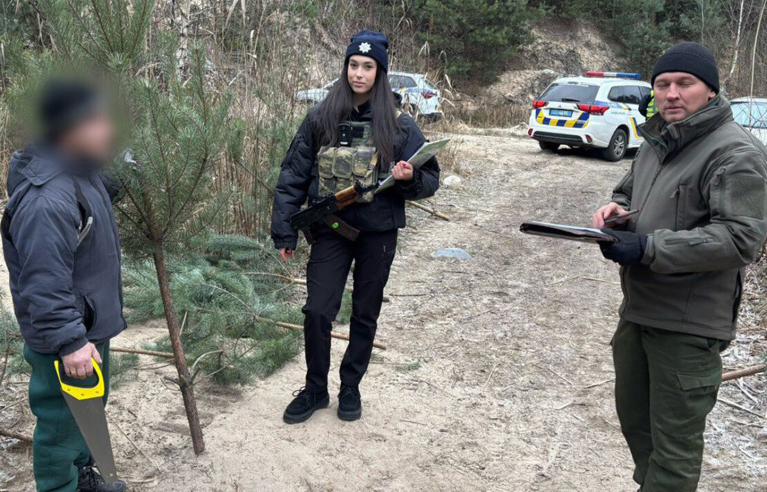 Харків'янин незаконно зрубав близько 60 ялинок 