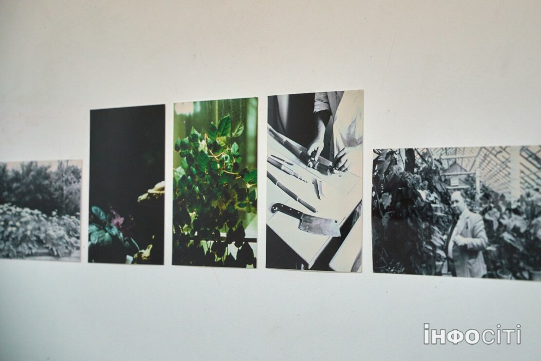 У Харкові проходить виставка художніх творів "ТЕПЛИЦЯ"