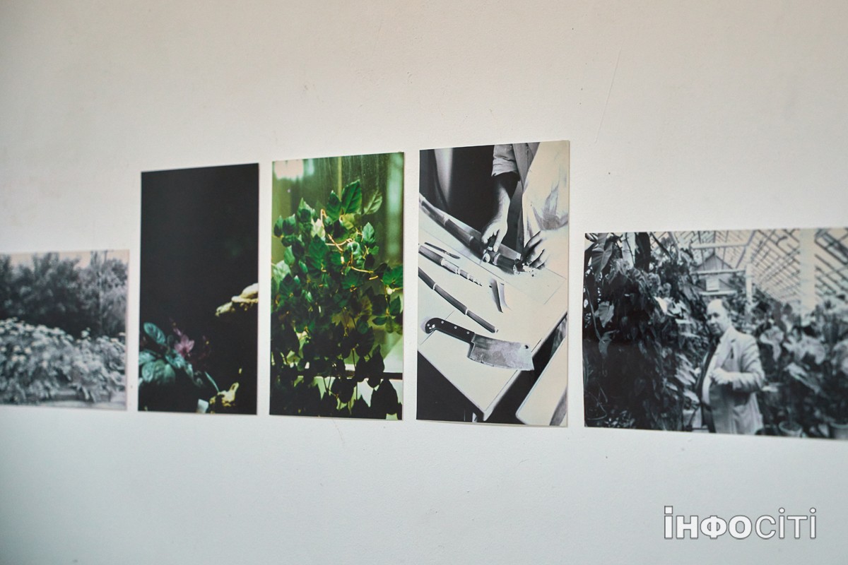 У Харкові проходить виставка художніх творів "ТЕПЛИЦЯ"