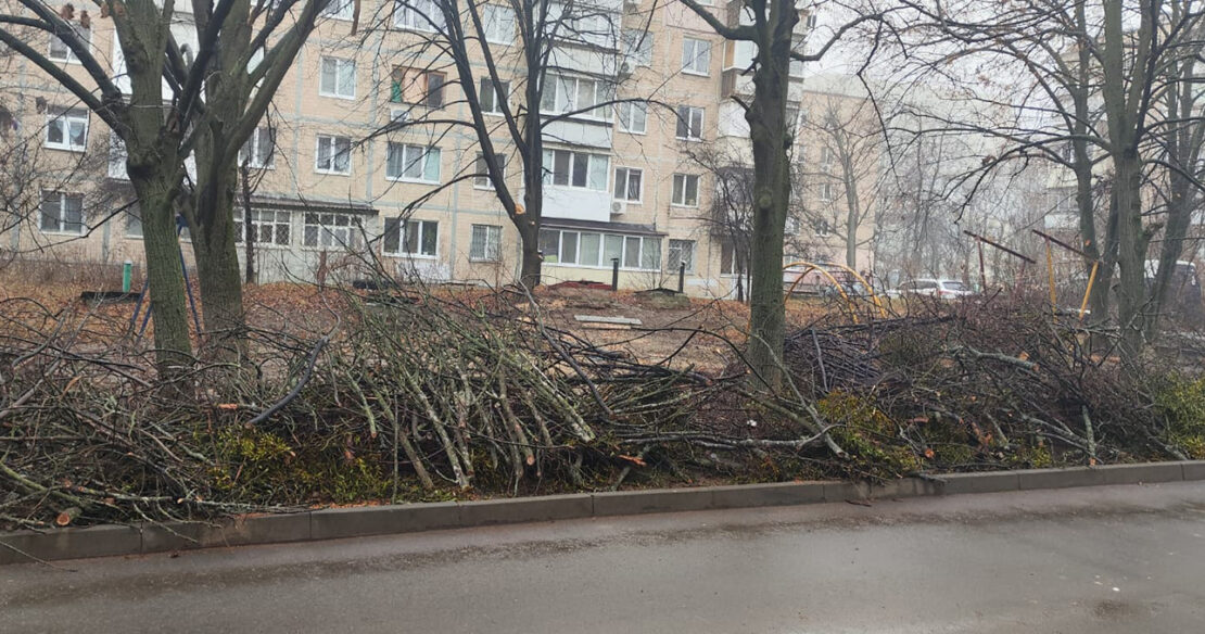 У Харкові чоловік незаконно зрубав дерева