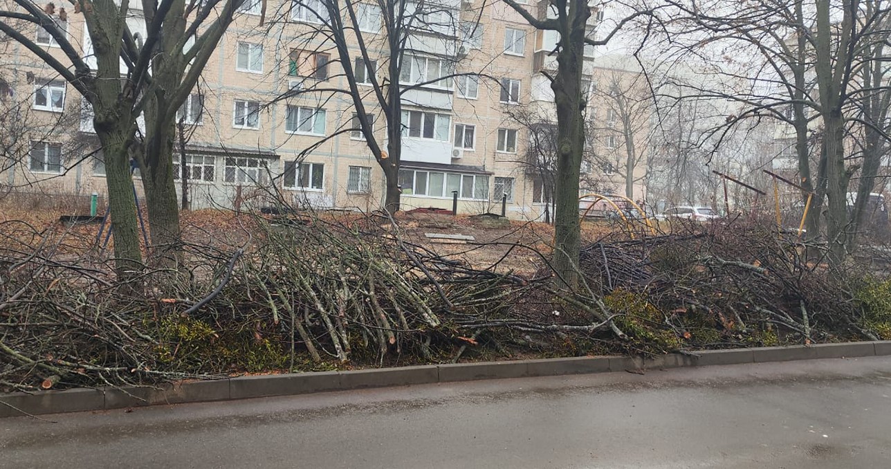 У Харкові чоловік незаконно зрубав дерева