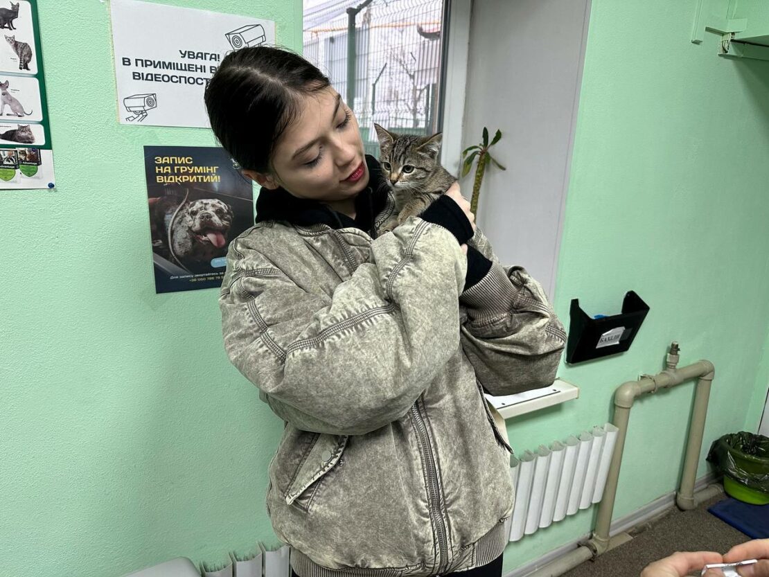 У листопаді харківський притулок прийняв 188 тварин (фото)