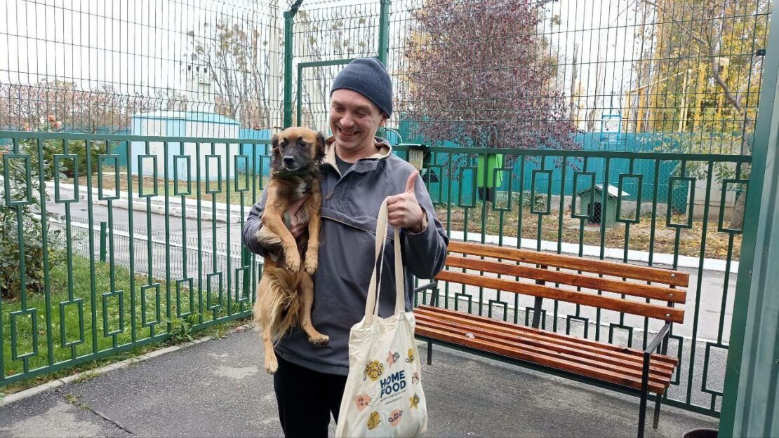 У листопаді харківський притулок прийняв 188 тварин (фото)