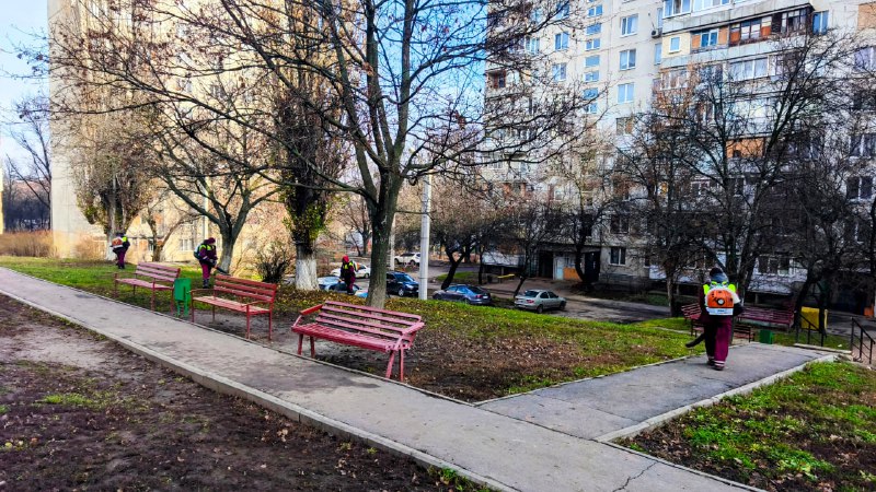 З Харкова вивезли понад 100 тисяч кубометрів опалого листя (фото)