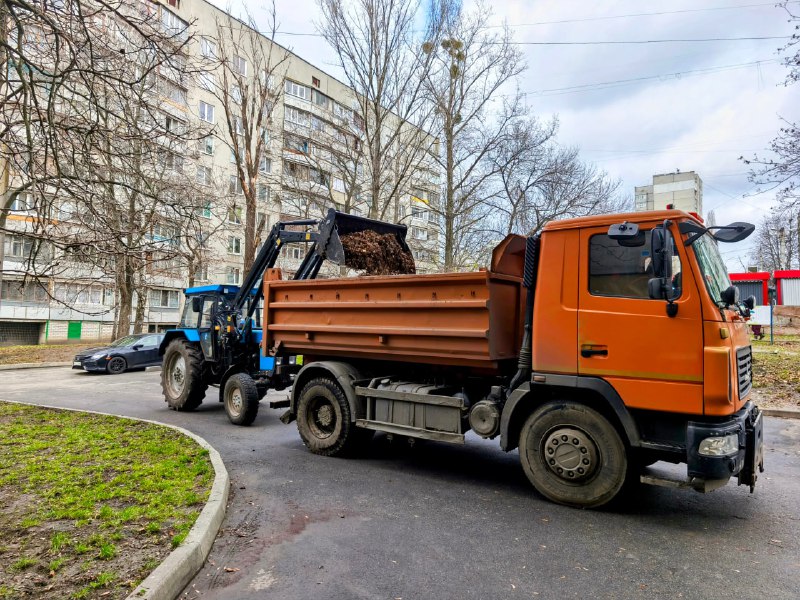 З Харкова вивезли понад 100 тисяч кубометрів опалого листя (фото)
