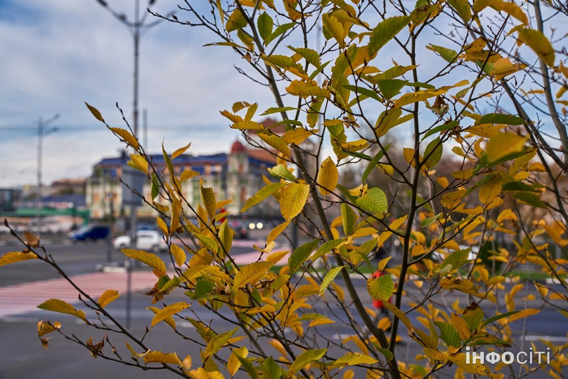 Прогноз погоди у Харкові на 19 грудня 2025 року