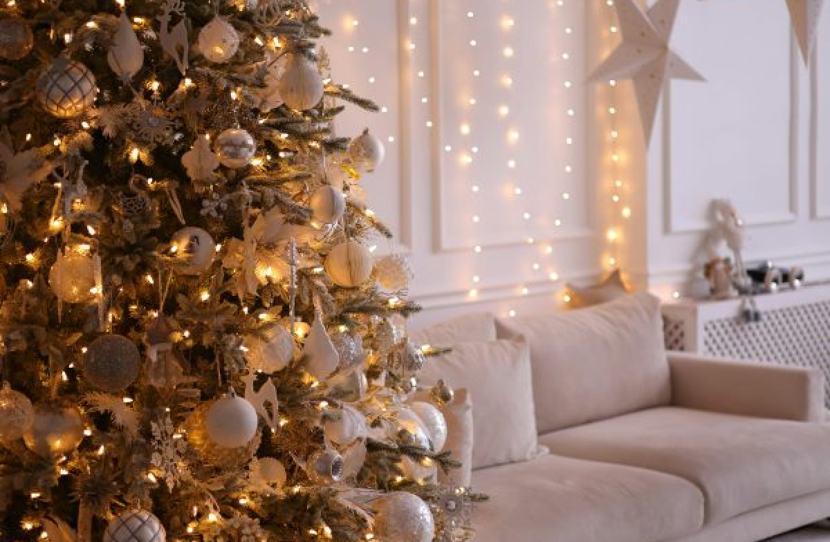 Підготовка до свят: ціни на оренду житла, продукти та ялинки