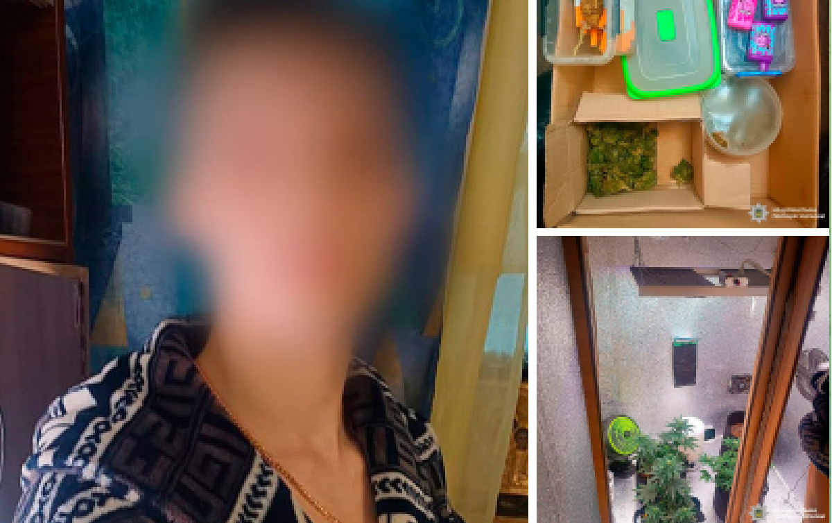 Житель Харкова вирощував вдома та збував канабіс