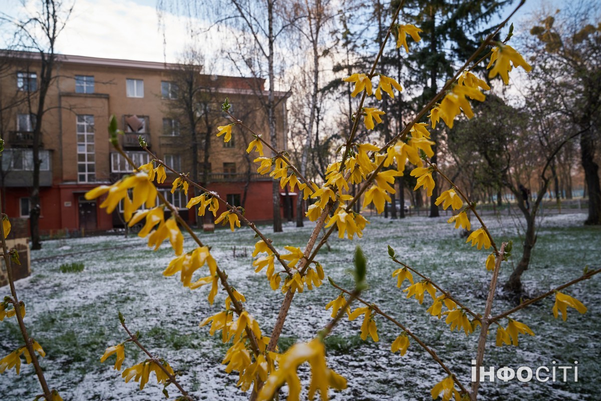 Прогноз погоди у Харкові на 16 грудня 2025 року