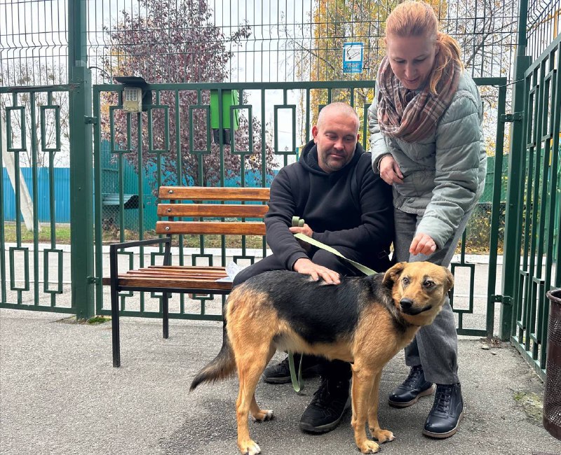 У листопаді харківський притулок прийняв 188 тварин (фото)