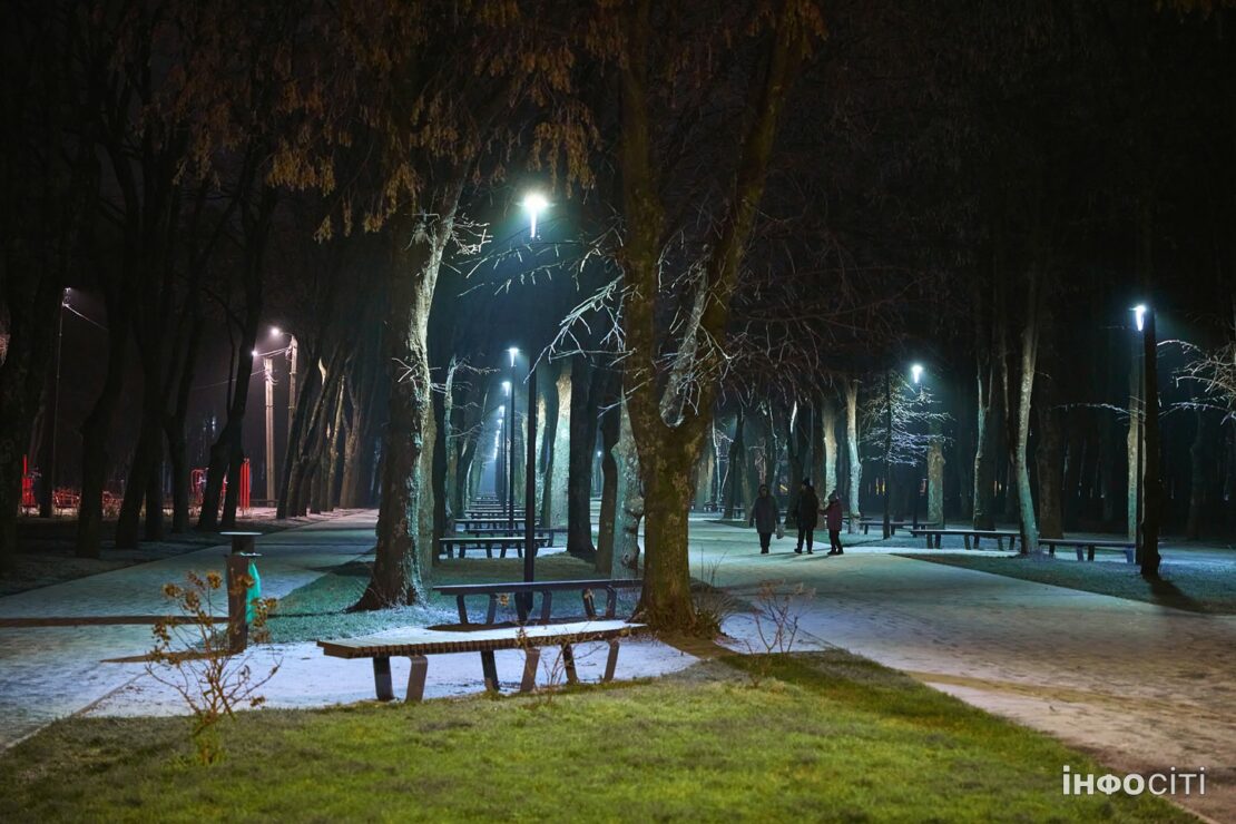 Ялинка в парку Зелений Гай (фоторепортаж)