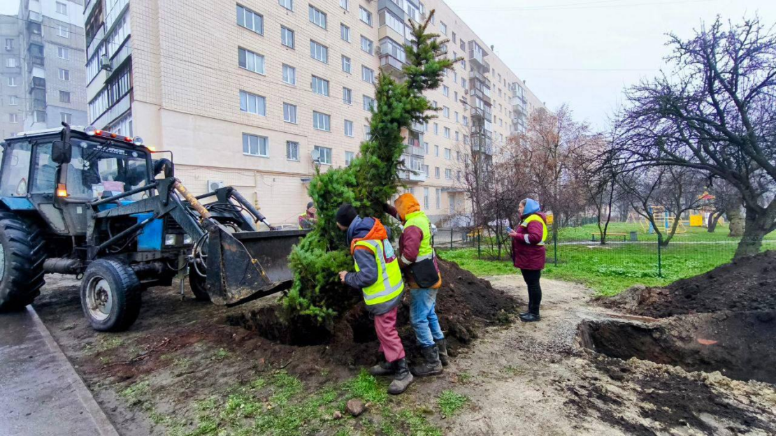 У Харкові вдосконалять систему озеленення