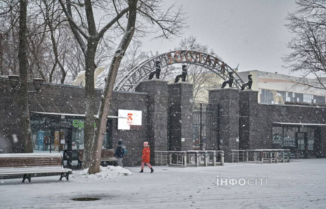 Харків'ян запрошують на святкову прогулянку до зоопарку
