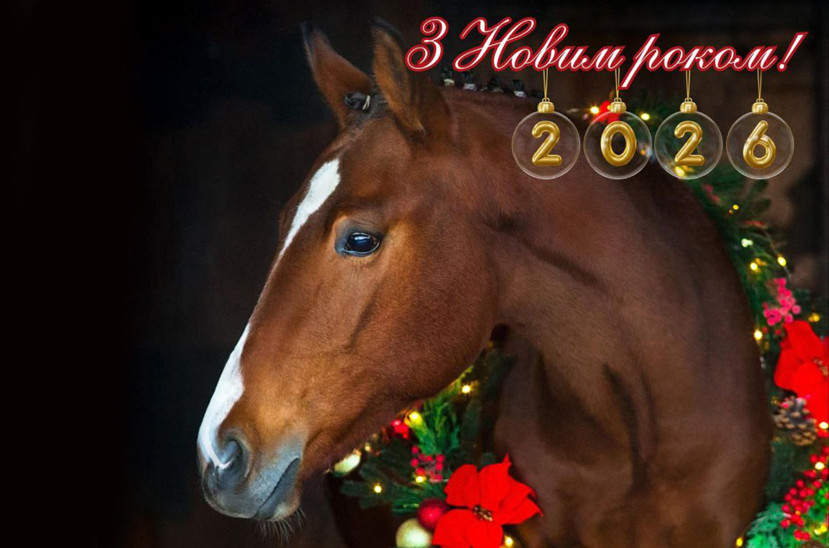 Харківський зоопарк запрошує на фінальні святкові прогулянки