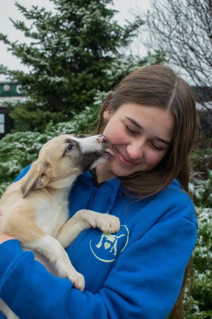 Харківський притулок для тварин підбив підсумки роботи у 2025 році