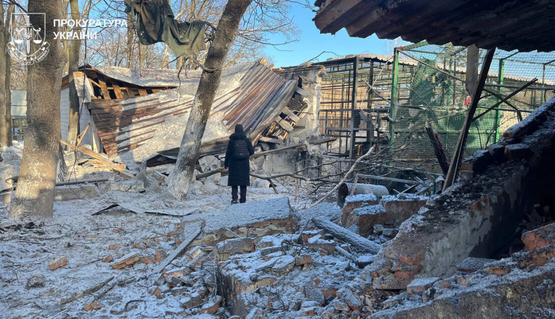 Наслідки ворожого удару по екопарку під Харковом (фото)