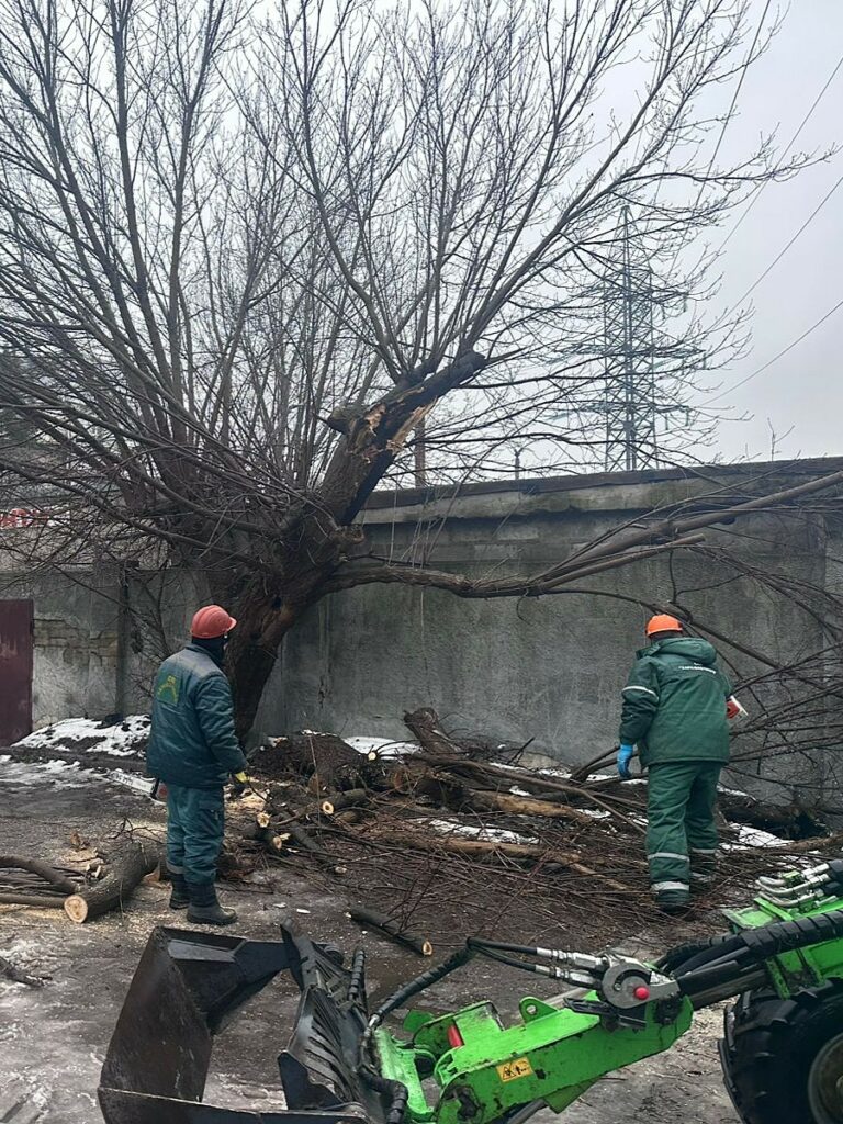 На Салтівці дерево впало на два автомобілі (фото)