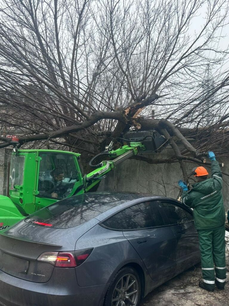 На Салтівці дерево впало на два автомобілі (фото)