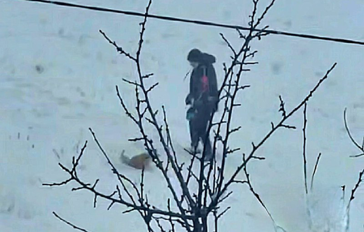 У Харкові дитина знущалася над собакою