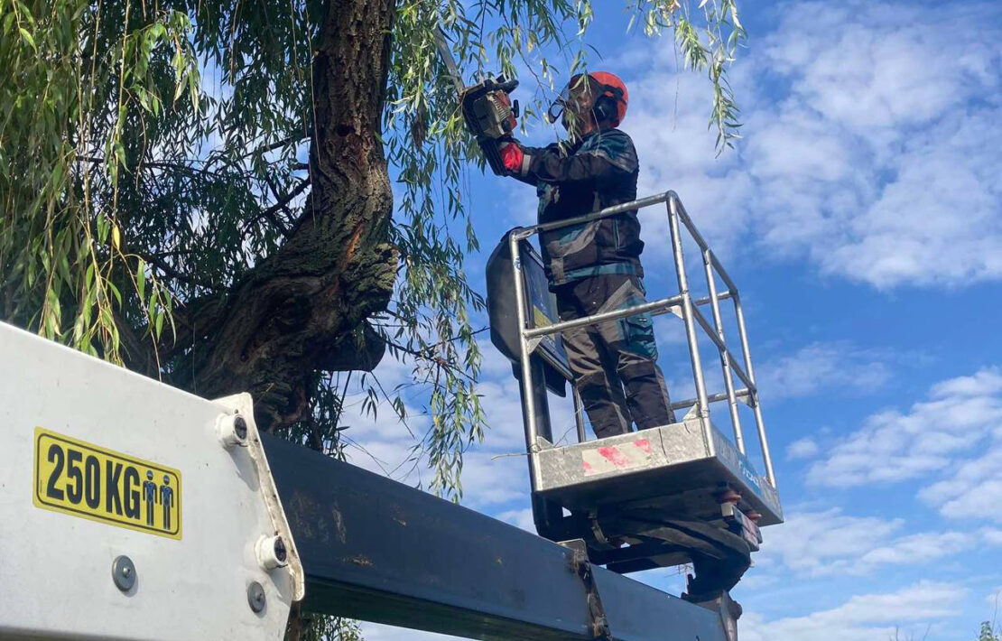 За рік у Харкові ліквідували понад 11 тисяч кубометрів стихійних сміттєзвалищ