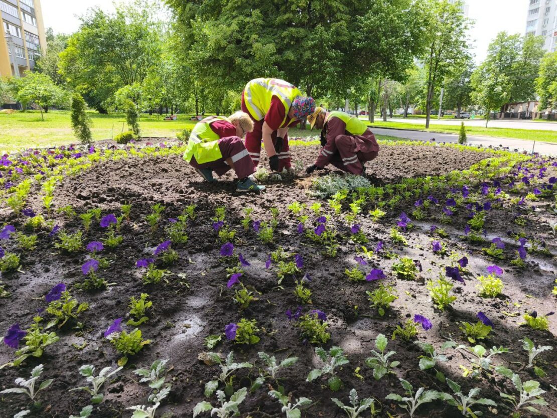 У Харкові підбили підсумки озеленення 2025 року